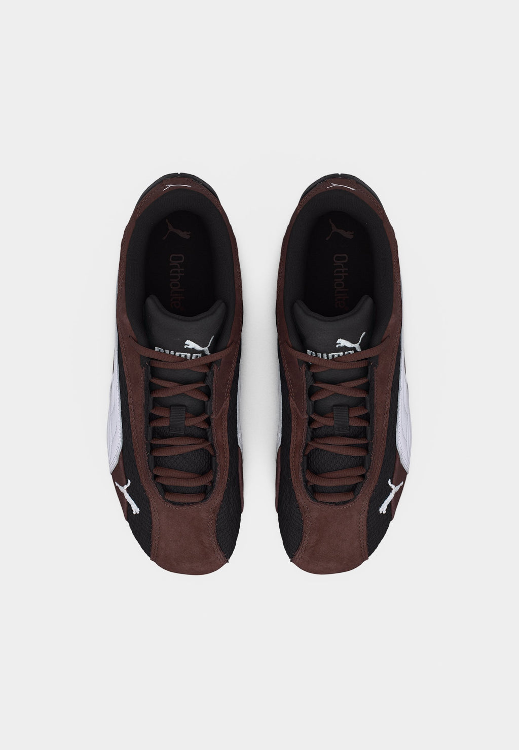 SPEEDCAT PLUS UNISEX - Baskets - marron chocolat/noir
