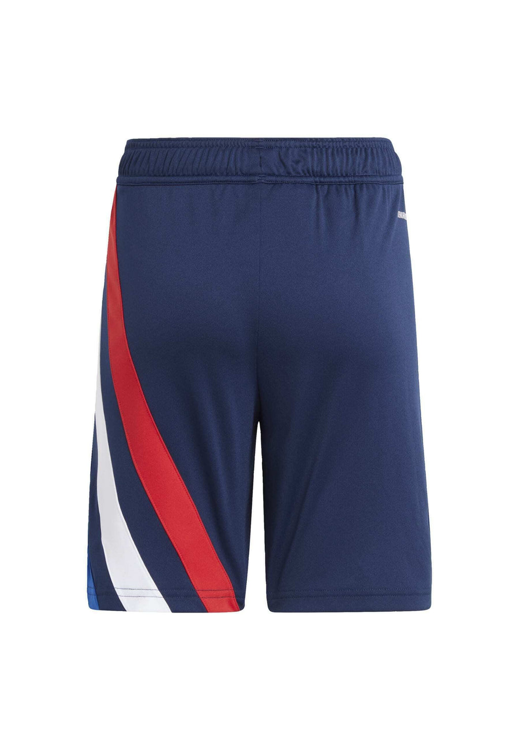 FORTORE 23 - Sports shorts - team navy blue   royal blue   white   team collegiate red