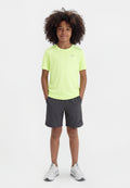 UNISEX - Sports T-shirt - volt ice/barely volt/silver-coloured