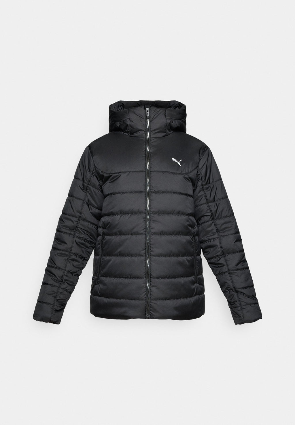 HOODED PADDED - Winter jacket - black