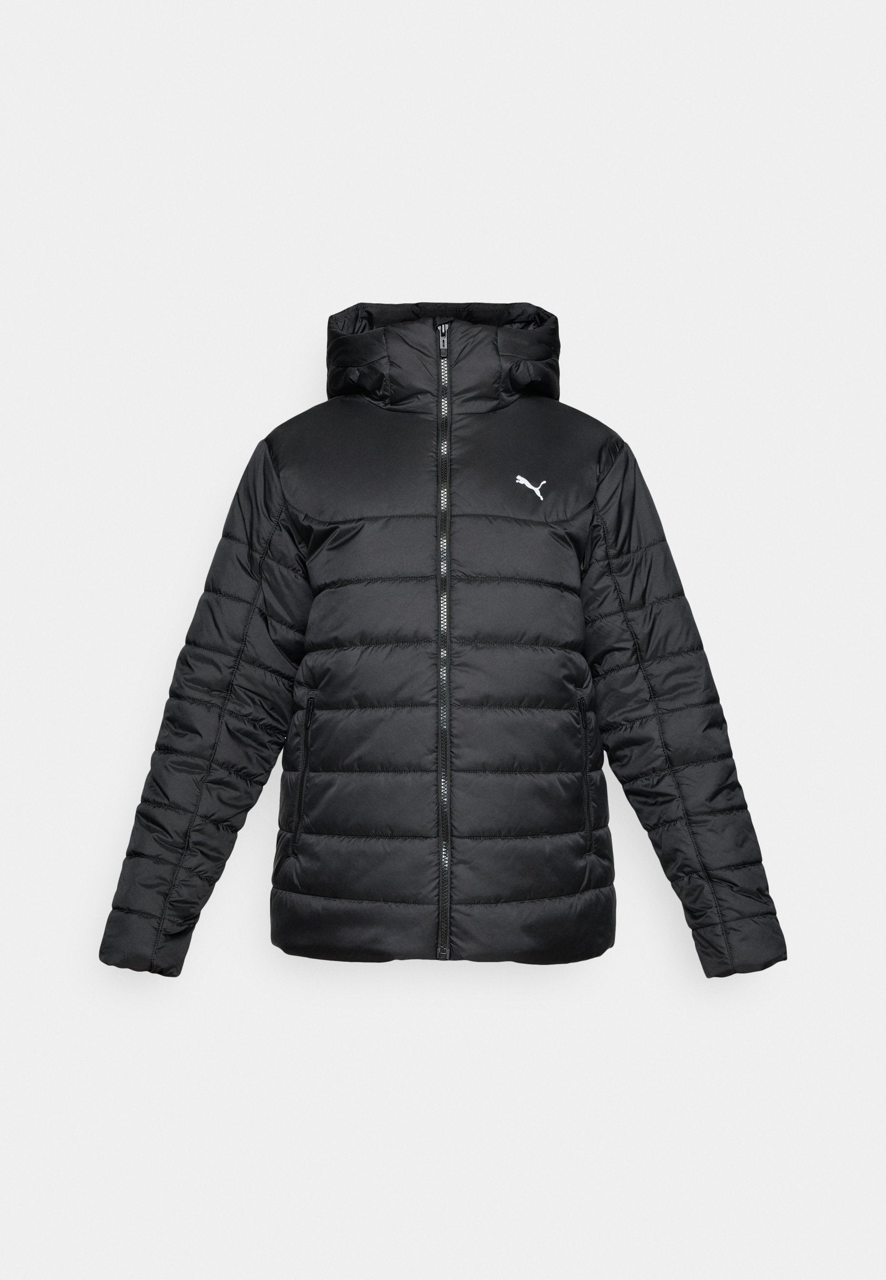 HOODED PADDED - Winter jacket - black