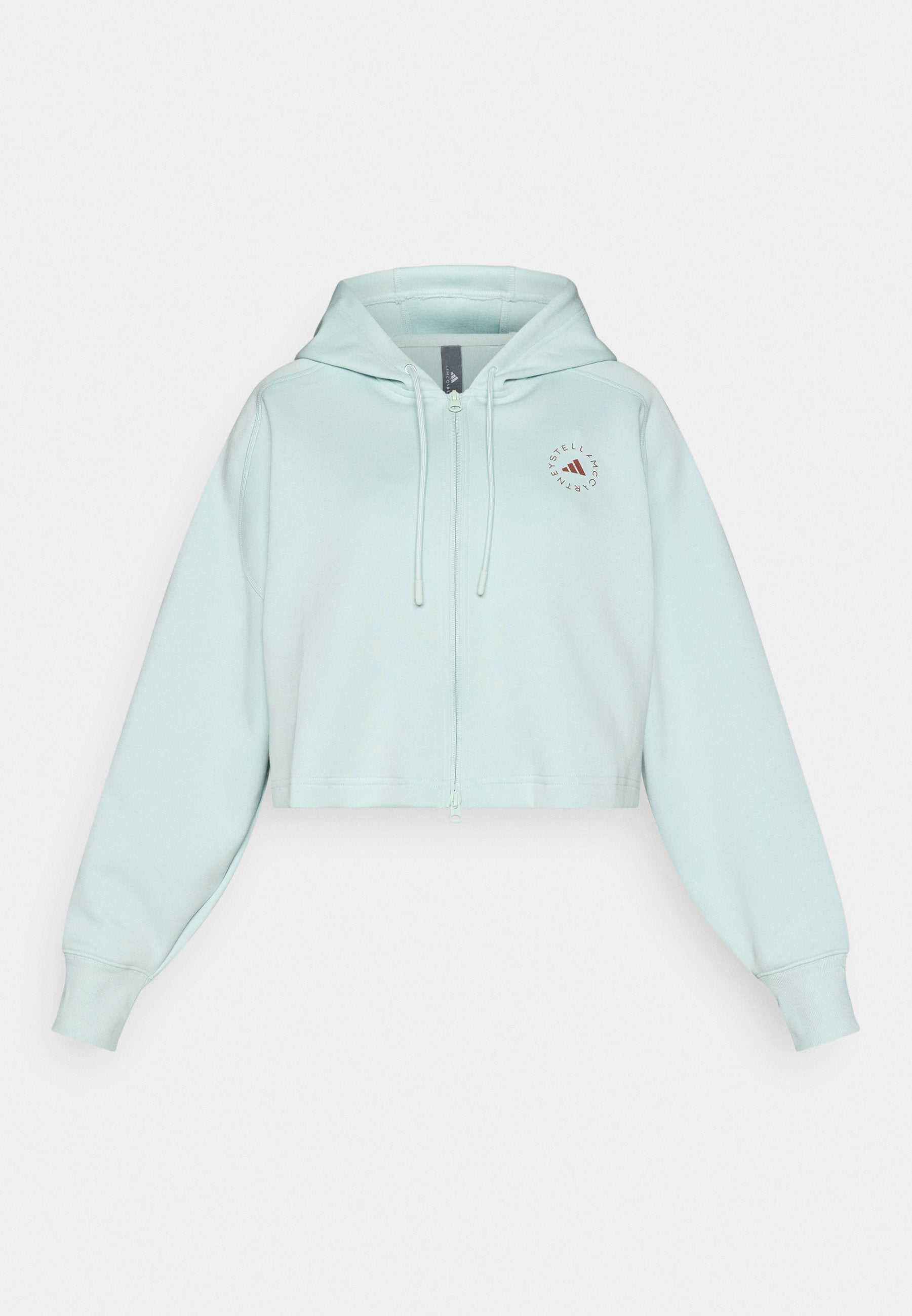 HOODIE - Fermuarlı sweatshirt - vapour green