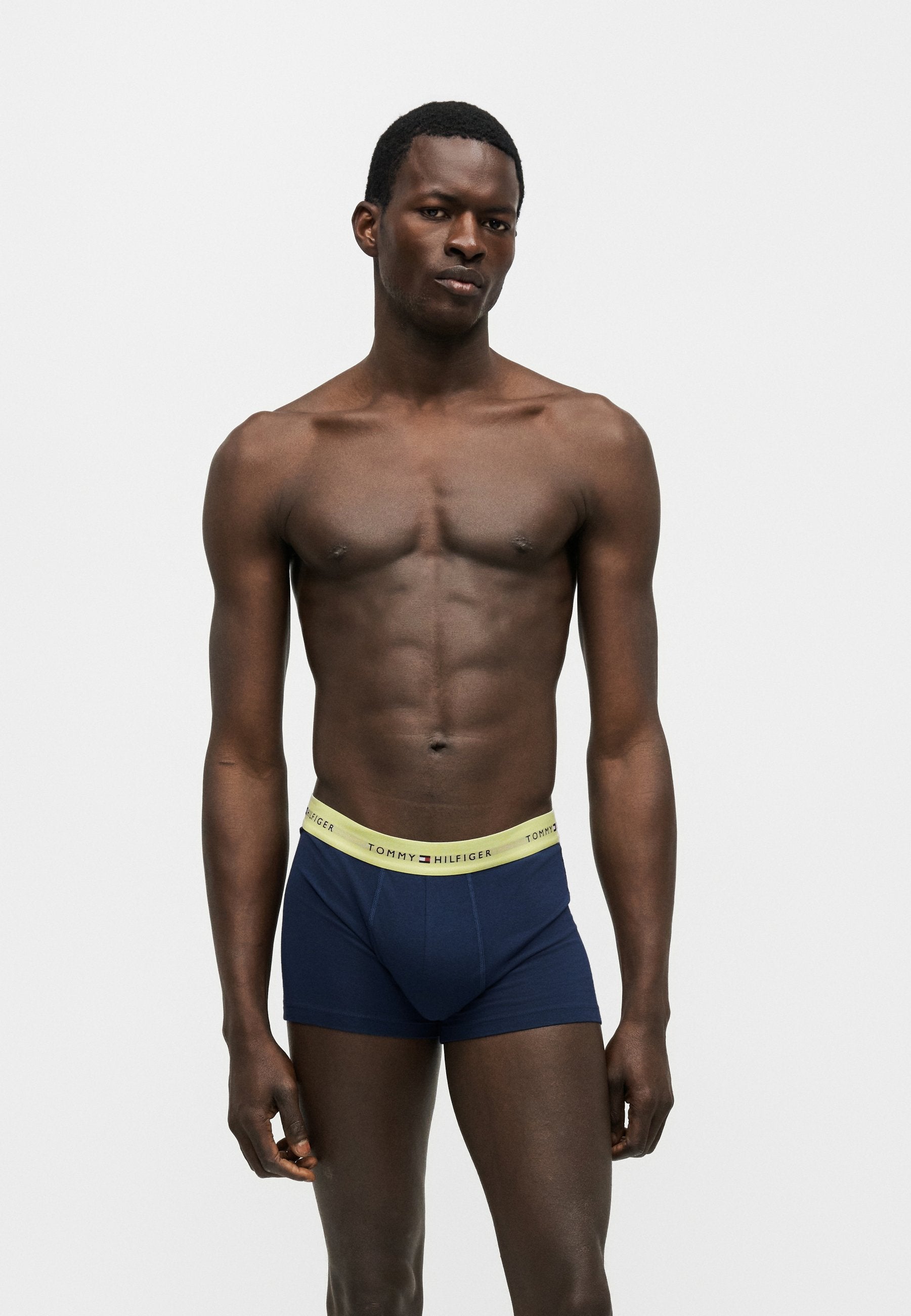 SIGNATURE TRUNK 3 PACK - Trunks - blue