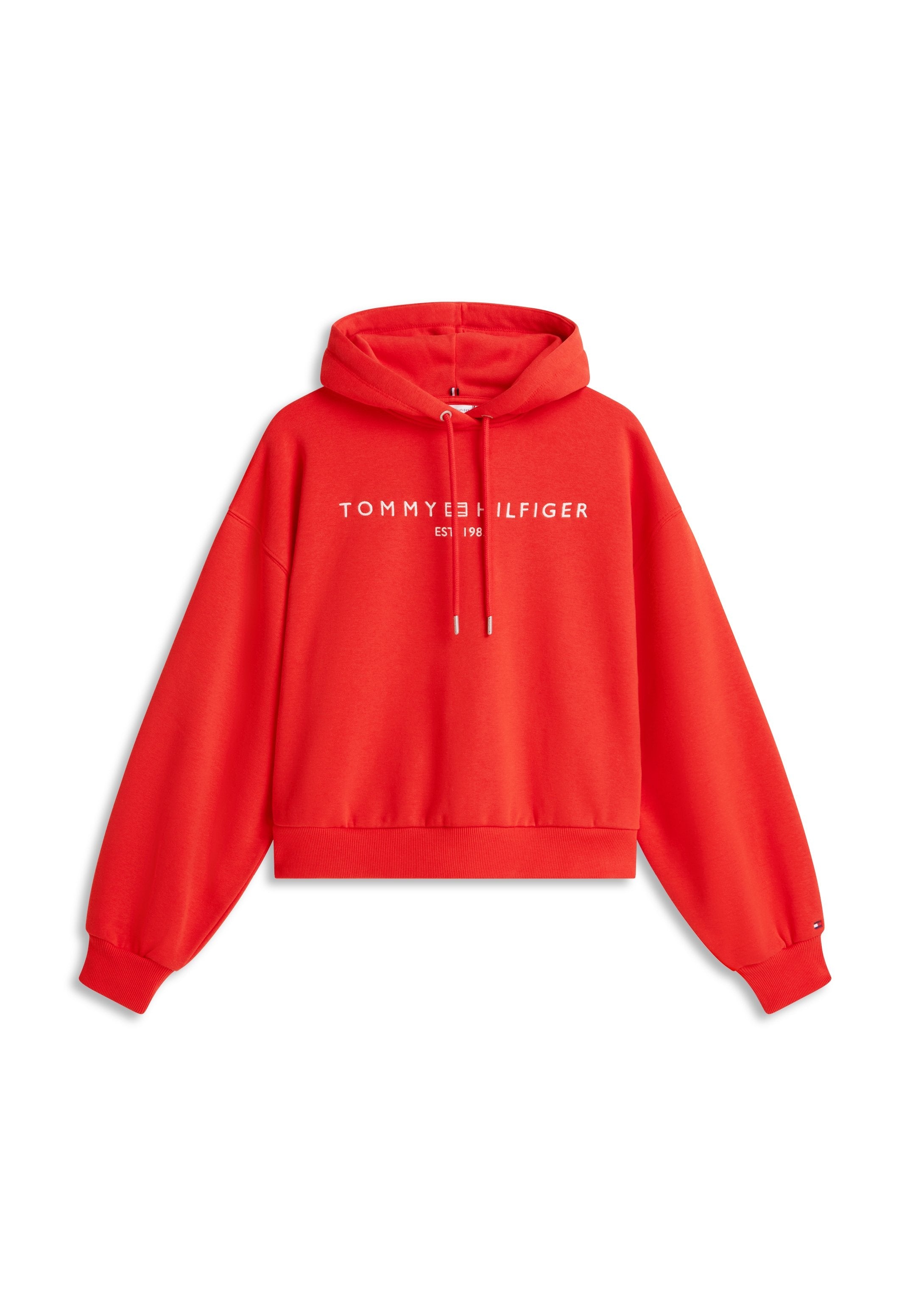 FLEX FLEECE LOGO EMBROIDERY RELAXED HOODY - Hoodie - fireworks