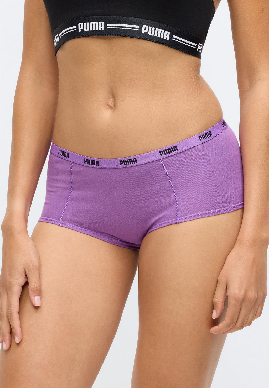 MINI SHORT 3 PACK - Hipsters - purple