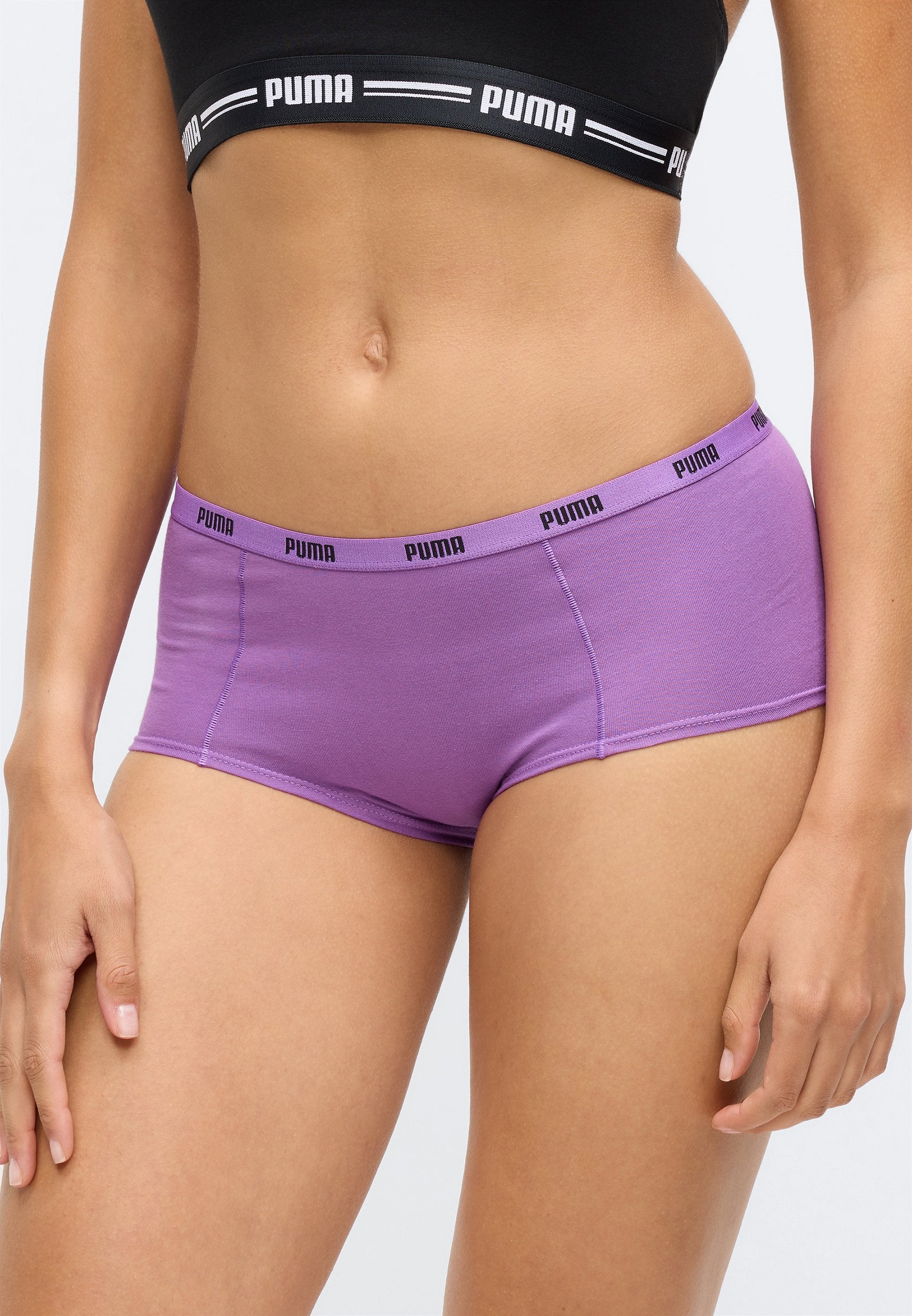 MINI SHORT 3 PACK - Hipsters - purple