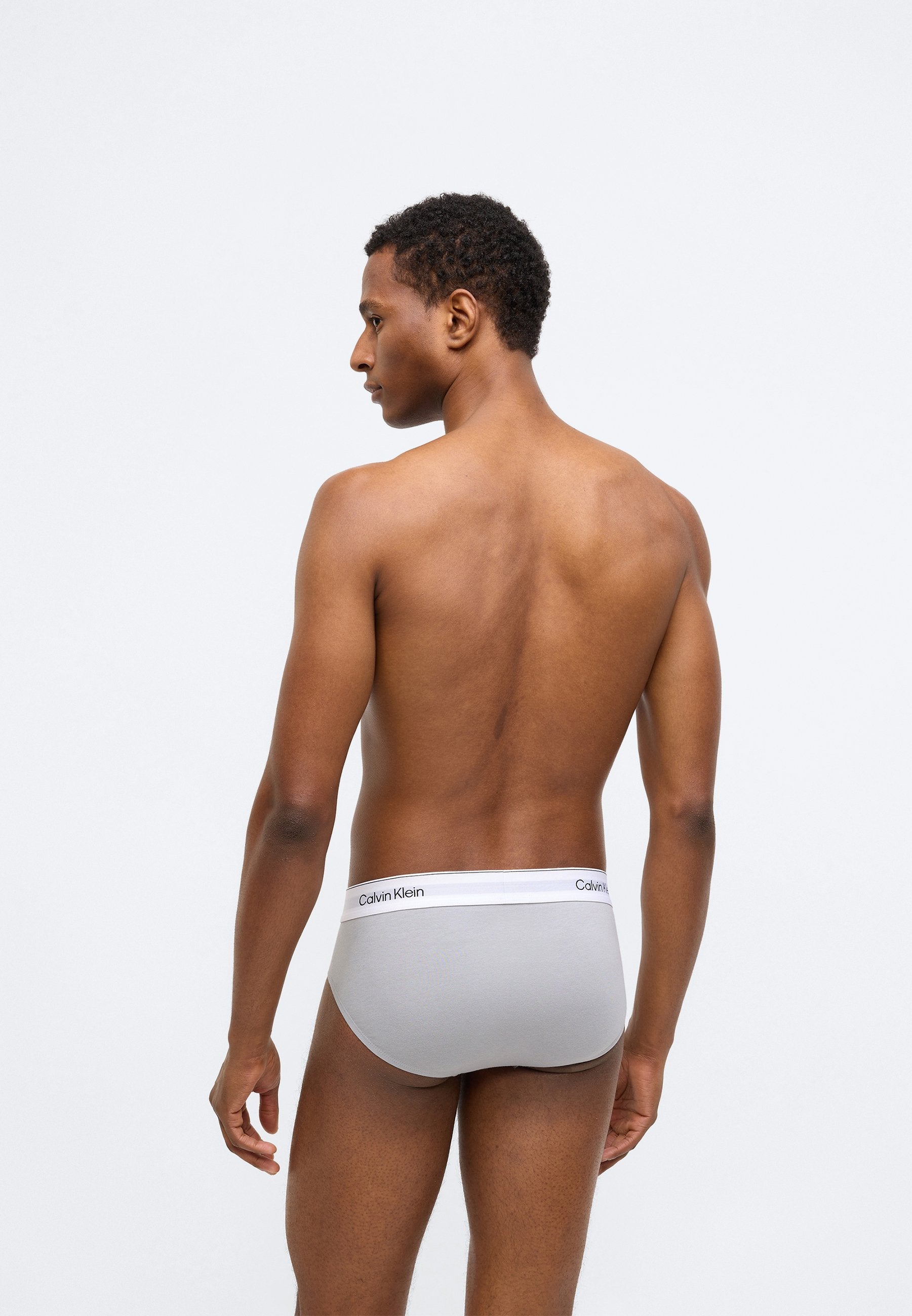 HIP BRIEF 3 PACK ICON COTTON STRETCH - Briefs - sleet/black/ashford