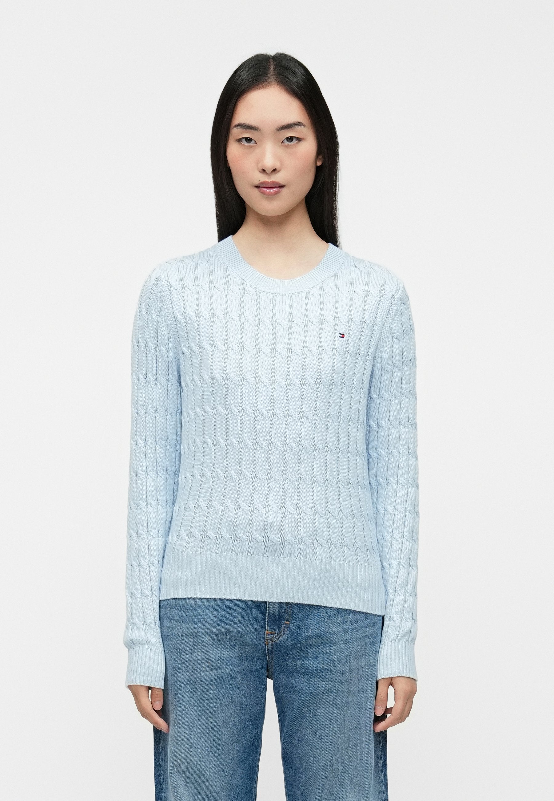 CABLE KNIT CREW NECK JUMPER - Jumper - breezy blue