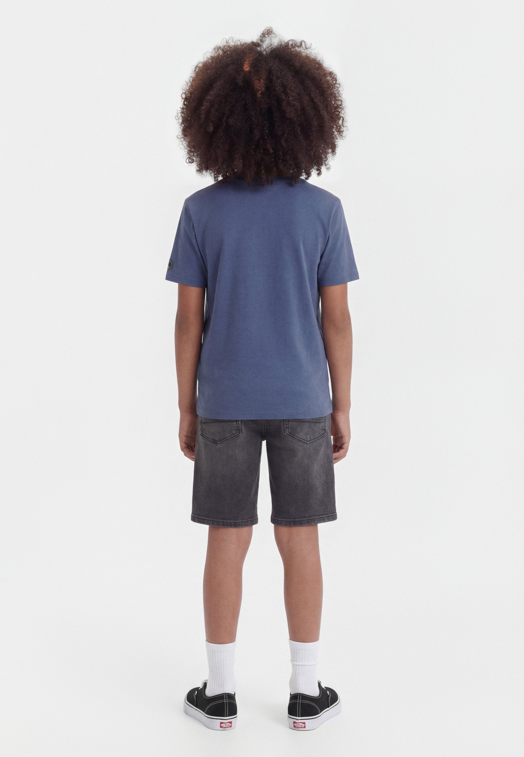 Print T-shirt - blue ridge