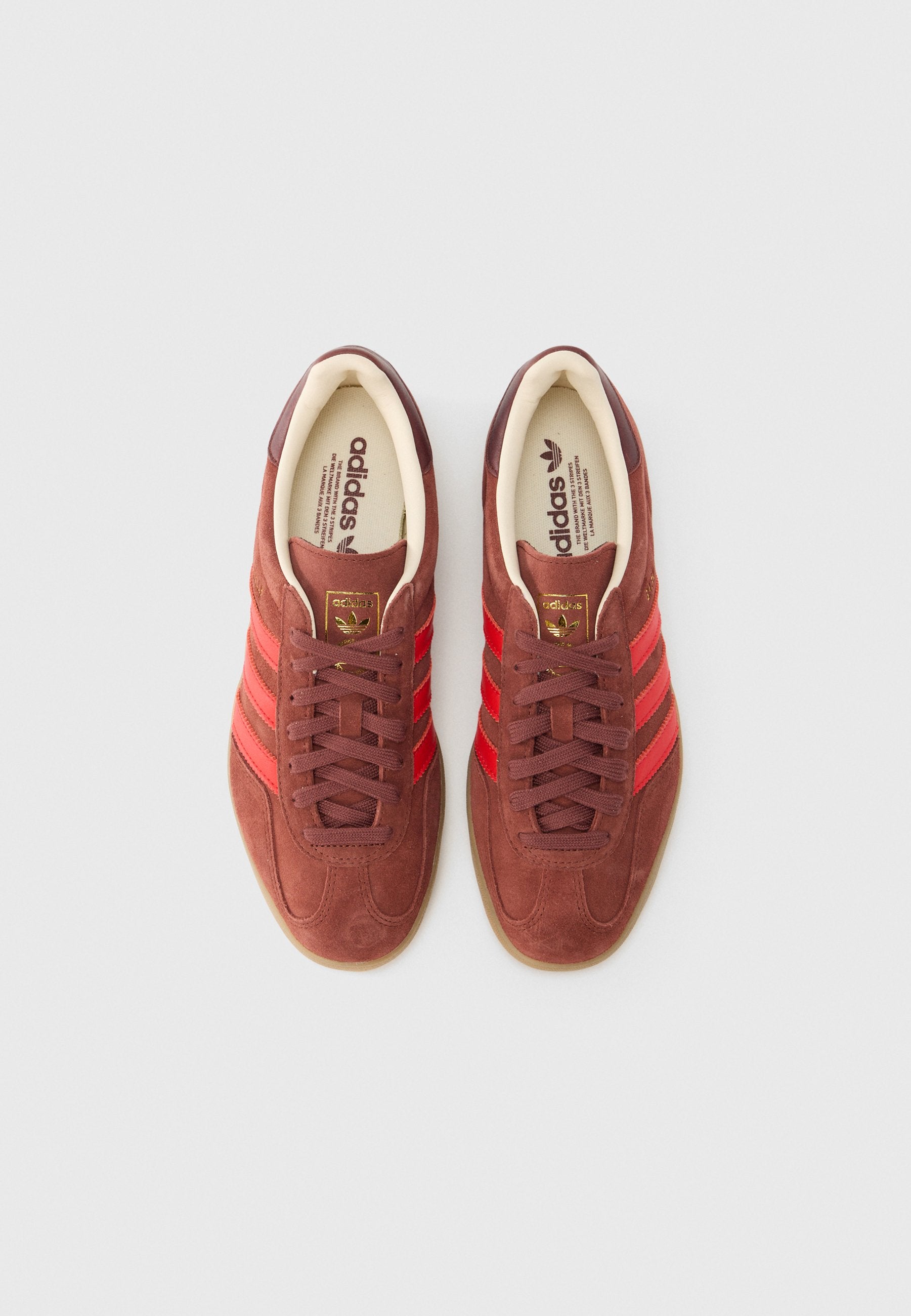 GAZELLE INDOOR UNISEX - Trainers - fox brown/red/gum