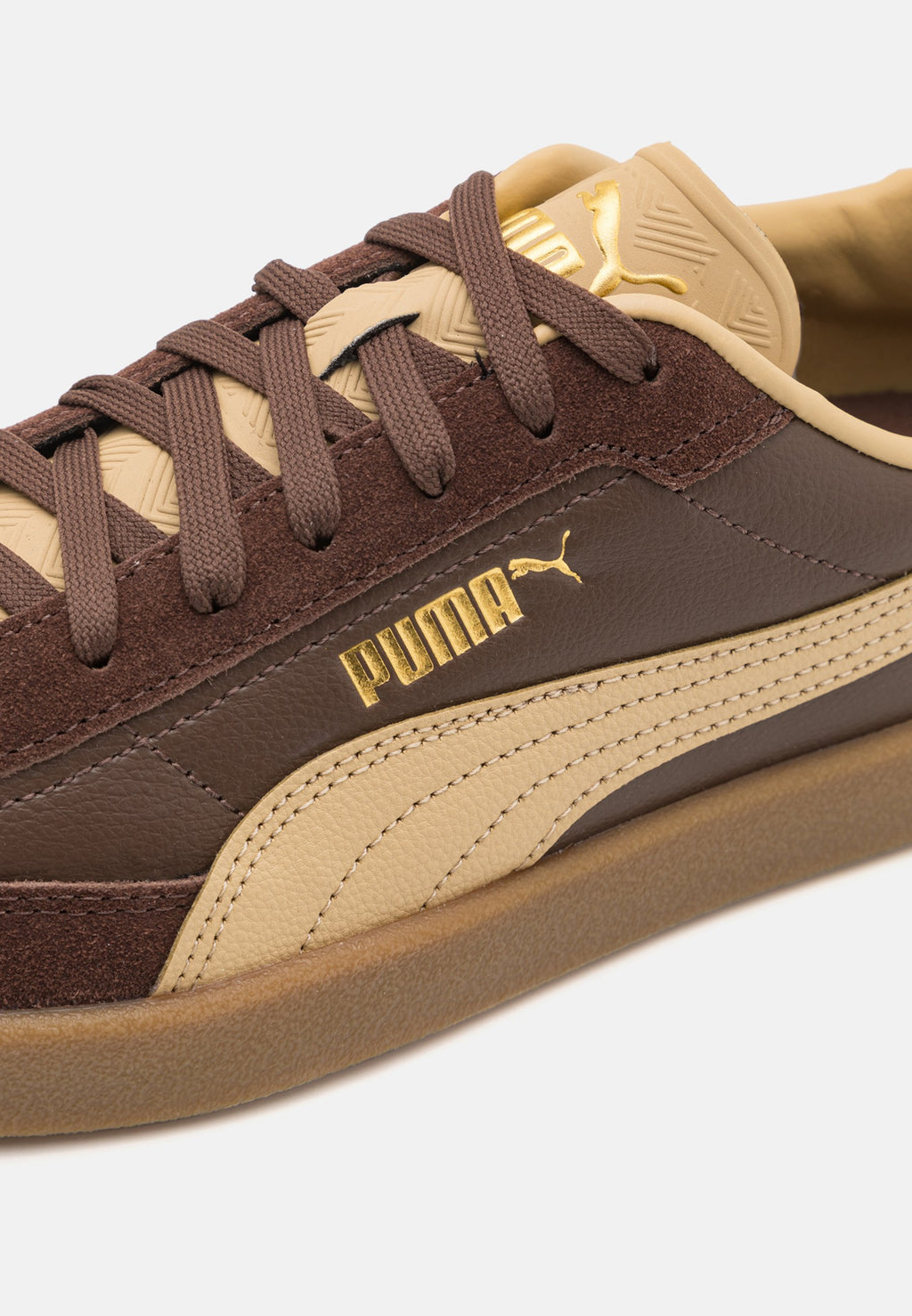 PUMA CLUB II ERA - Spor Ayakkabı - espresso kahvesi/kum rengi/altın rengi