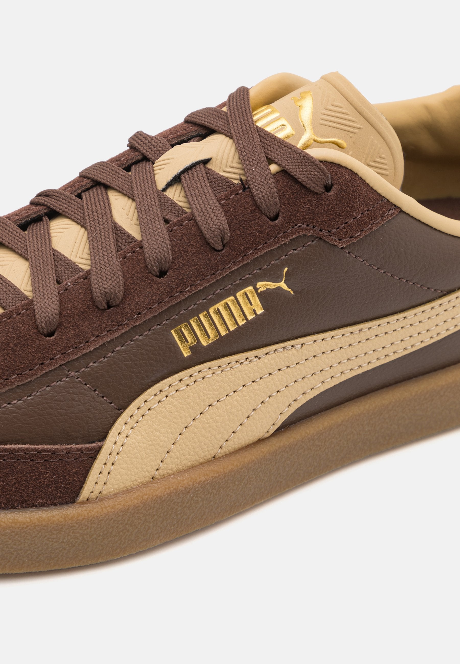PUMA CLUB II ERA - Spor Ayakkabı - espresso kahvesi/kum rengi/altın rengi
